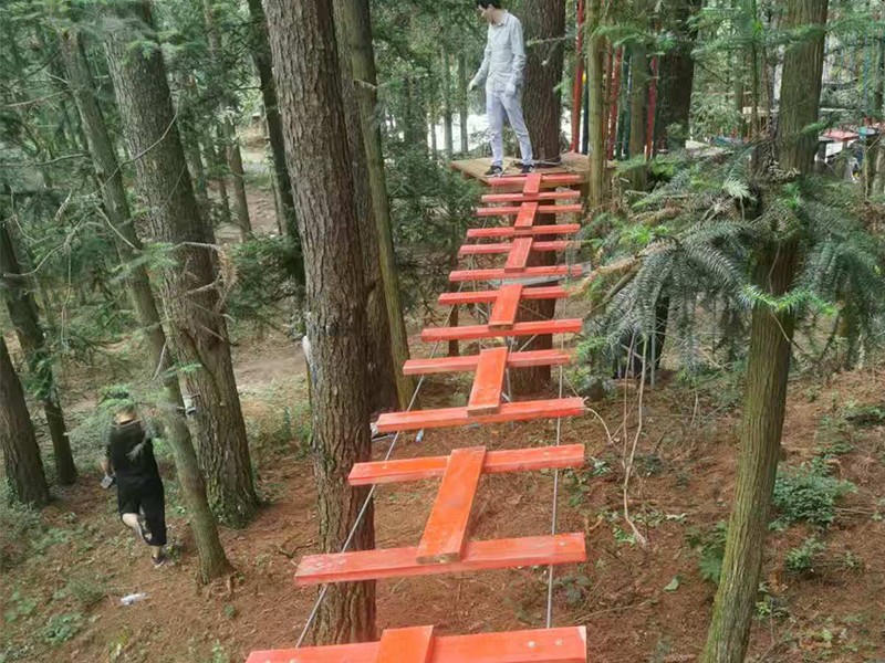 叢林穿越